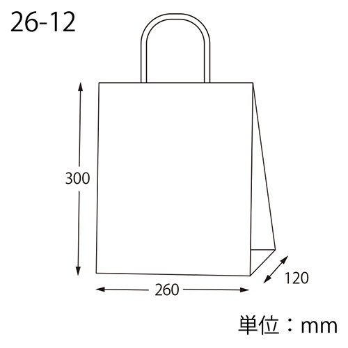 スムースバッグ 26-12 白無地