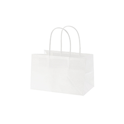 オブロングバッグ 20-13 白無地