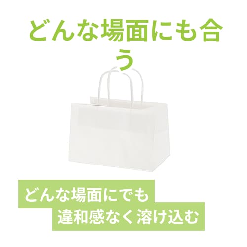 オブロングバッグ 23-15 白無地