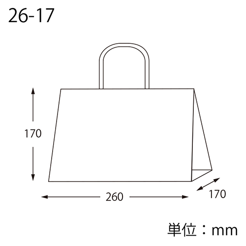 オブロングバッグ 26-17 白無地