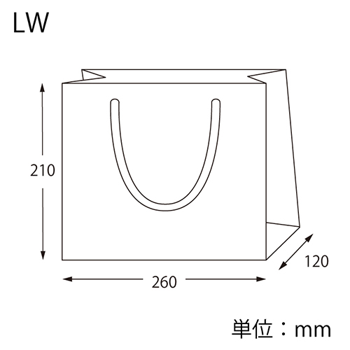 カラーハンドルバッグ LW ブラック