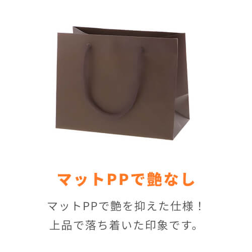 ブライトバッグ 23-12 チョコブラウン（MＴ）