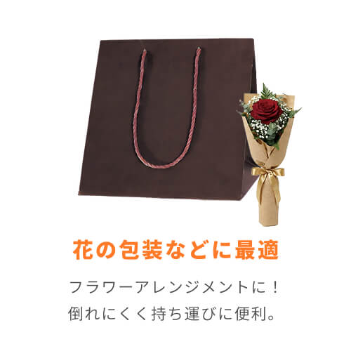 カラーアレンジバッグ S 焦茶