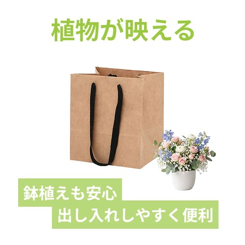 フルールバッグ 25-20 未晒無地