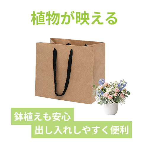 フルールバッグ 34-3 未晒無地