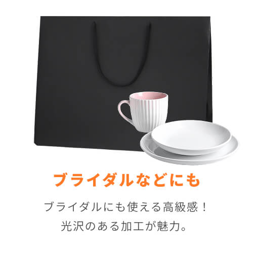 ブライトバッグ 55-15 黒（MＴ）