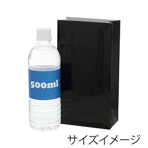 ギフトファンシーバッグ 1-220 無地 黒