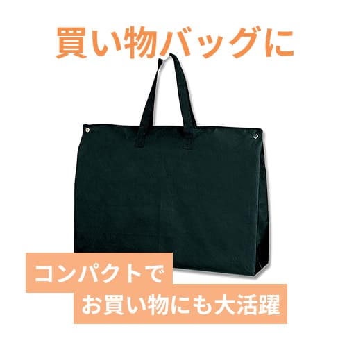 Ｆバッグ チャック付LL 黒