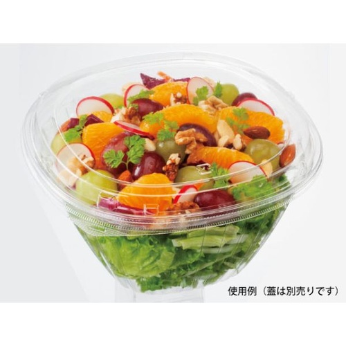 エフピコ 冷麺容器 AP-B&H19-19(97) 本体