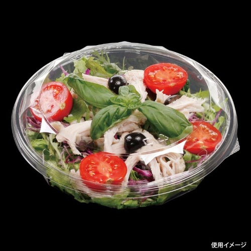 エフピコ 冷麺容器 APサラダ-20(V) 本体