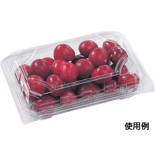 エフピコ フードパック SA-403-40