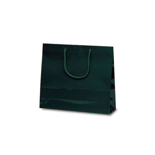 紙手提袋 1192 ファインバック ダークグリーン ベルベ