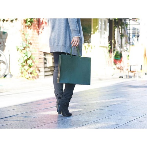 紙手提袋 1030 手提袋 T-6 カラークラフト グリーン ベルベ