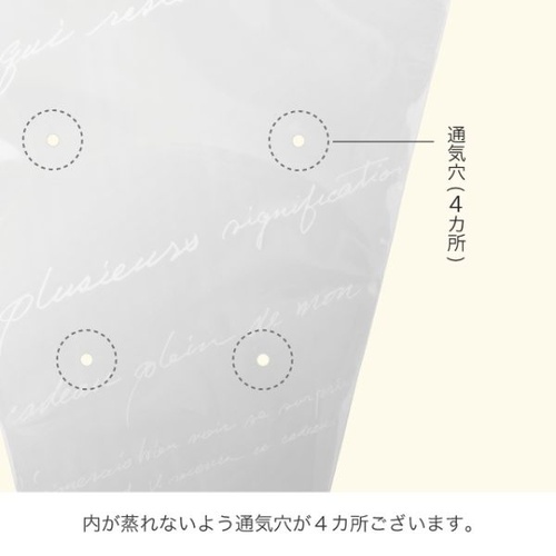 ポリ手提げ NEWフレンチブーケスリーブOPPバッグ-1(100枚) ヘッズ