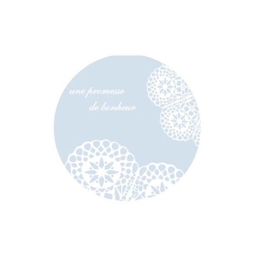 袋 4819 クリアバッグ パールレース SS ベルベ