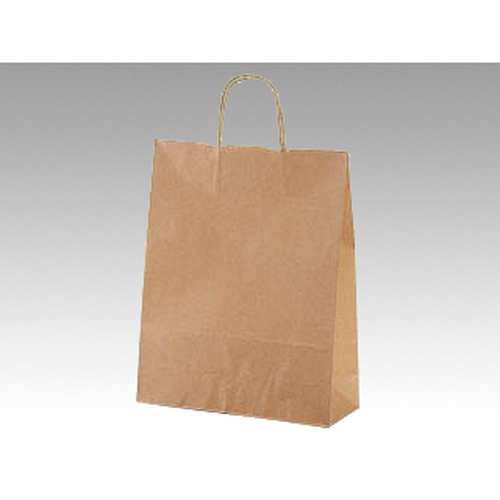 紙手提袋 自動手提袋 HV100 未晒 無地 パックタケヤマ