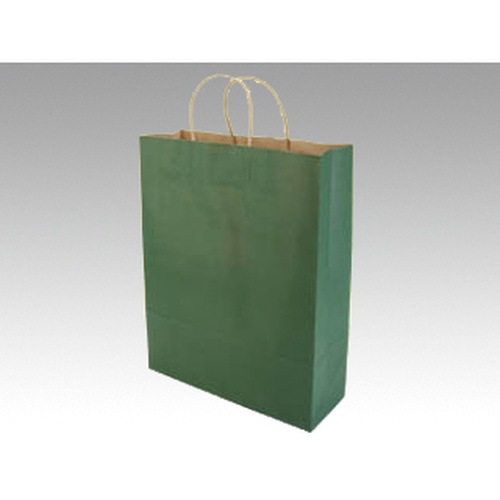 紙手提袋 手提袋 BT エメラルド パックタケヤマ
