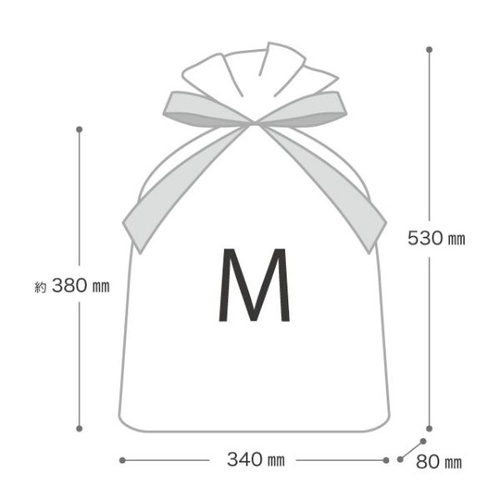 巾着袋 クラシカルクリスマス リボン付PEギフトバッグ-M(20枚) ヘッズ