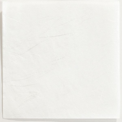 パン袋 P-166 雲竜 二方開袋 福重