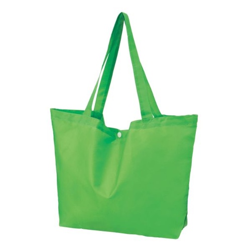 エコバッグ Ecolor 折りたたみビッグバッグ(グリーン) 2370831