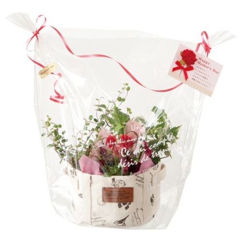 テープ無 OPP袋 BKF アレンジOPPバッグ-2(50枚) ヘッズ