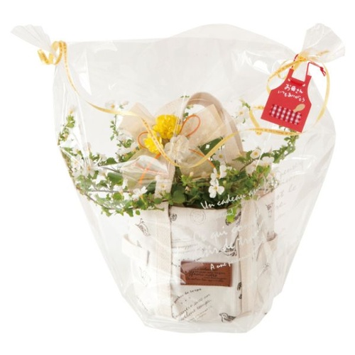 テープ無 OPP袋 BKF アレンジOPPバッグ-3(50枚) ヘッズ