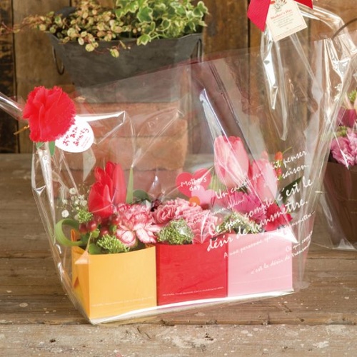 テープ無 OPP袋 BKF アレンジOPPバッグ-3W(50枚) ヘッズ