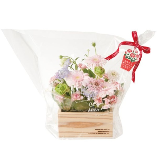 テープ無 OPP袋 BKF アレンジOPPバッグ-4(50枚) ヘッズ