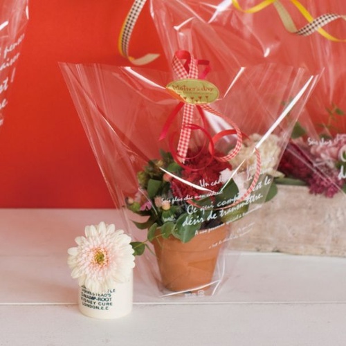 テープ無 OPP袋 BKF アレンジOPPバッグ-5(50枚) ヘッズ