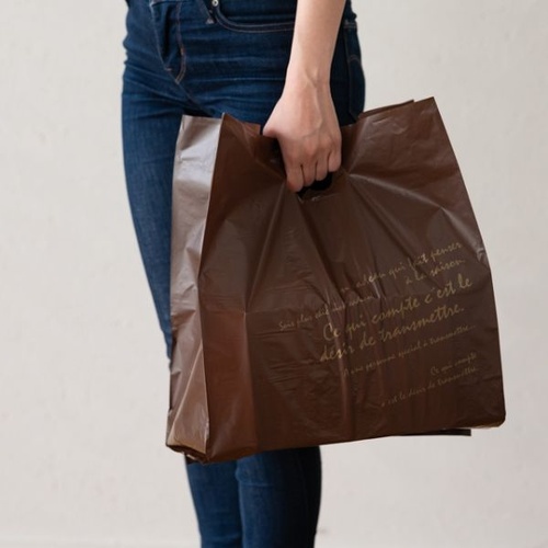 スタンド袋 BKF ガゼットバッグ-L(100枚) ヘッズ