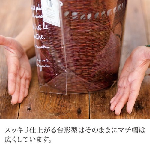 テープ無 OPP袋 BKF ギフトOPPポットバッグ-L(50枚) ヘッズ