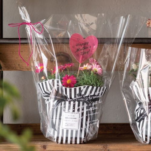 テープ無 OPP袋 BKF ギフトOPPポットバッグ-M(50枚) ヘッズ