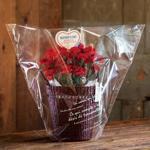 テープ無 OPP袋 BKF ギフトOPPポットバッグ-M(50枚) ヘッズ