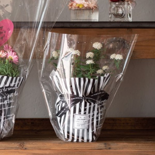 テープ無 OPP袋 BKF ギフトOPPポットバッグ-S(50枚) ヘッズ