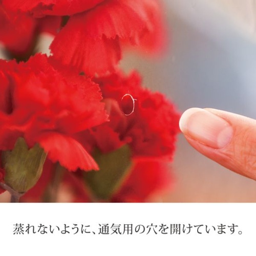 テープ無 OPP袋 BKF ギフトOPPポットバッグ-S(50枚) ヘッズ