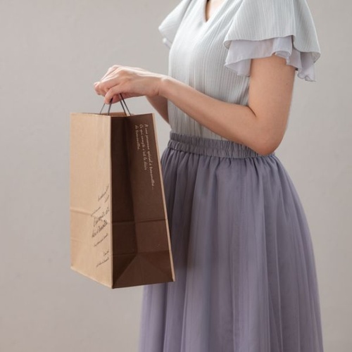 紙手提袋 BKFブラウンペーパーバッグ-2(50枚) ヘッズ