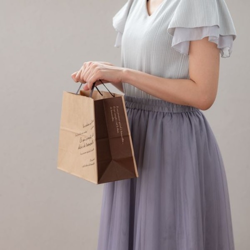 紙手提袋 BKFブラウンペーパーバッグ-2 ハーフ(50枚) ヘッズ