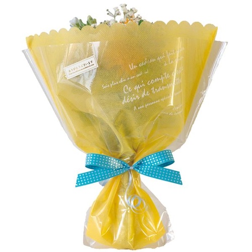 平袋(青果) BKF フラワーギフトOPPバッグ-6(50枚) ヘッズ