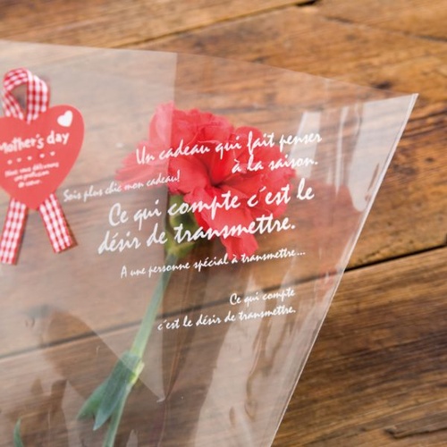 平袋(青果) BKF フラワーギフトOPPバッグ-6(50枚) ヘッズ