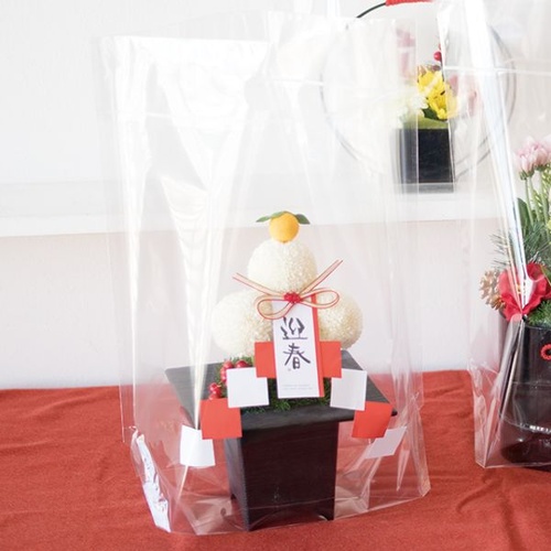 ポリ手提げ NEW無地クリアスタンドバッグ-M(30枚) ヘッズ