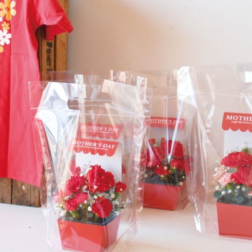 ポリ手提げ NEW無地クリアスタンドバッグ-M(30枚) ヘッズ