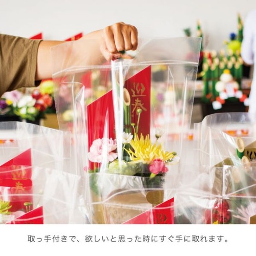 ポリ手提げ NEW無地クリアスタンドバッグ-M(30枚) ヘッズ