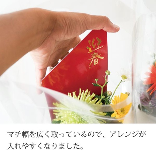 ポリ手提げ NEW無地クリアスタンドバッグ-M(30枚) ヘッズ