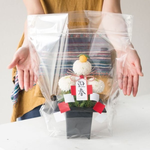 ポリ手提げ NEW無地クリアスタンドバッグ-S(30枚) ヘッズ