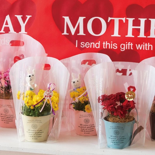 ポリ手提げ カフェオレスタンドバッグ-S(50枚) ヘッズ