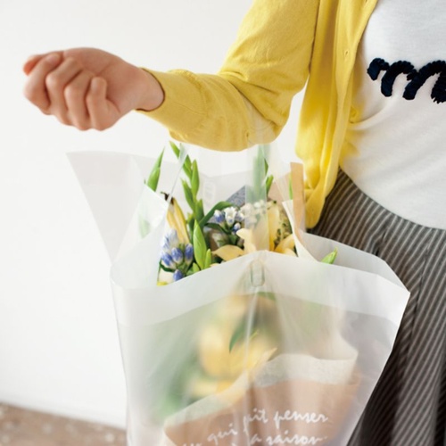 ポリ手提げ バケツ型フロストバッグ-X(20枚) ヘッズ