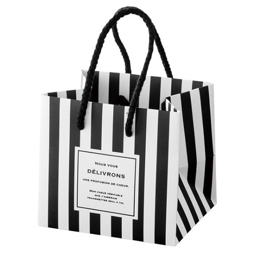 紙手提袋 フィエルテミニペーパーバッグ-2(10枚) ヘッズ