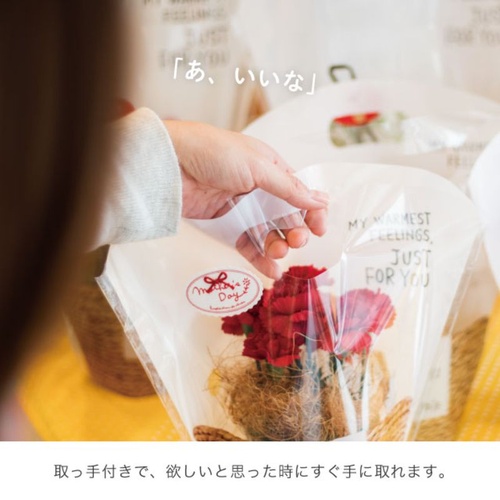 スタンド袋 ブリティッシュスタイルスタンドバッグ-S(50枚) ヘッズ