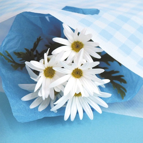 ポリ手提げ ブルーチェックワッフルバッグ-4(100枚) ヘッズ