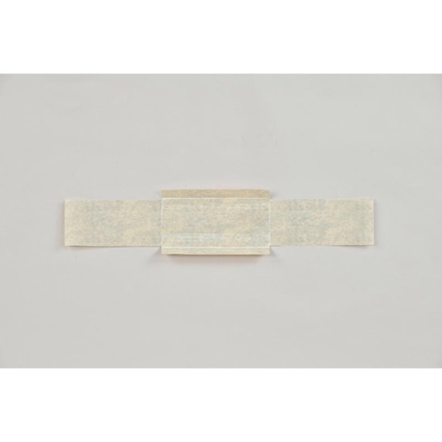 軽食容器 紙竹皮 No.3 福助工業